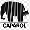 Caparol logo